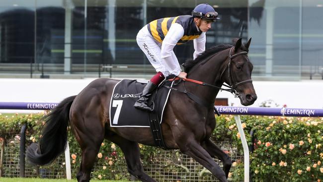 Future Score was third in the Lexus Hotham Stakes. Photo: George Salpigtidis/Racing Photos via Getty Images