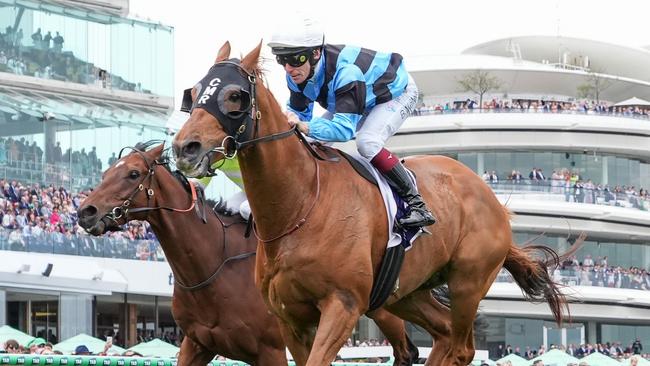 Brown will combine with Queen Elizabeth Stakes winner Smokin' Romans in the Pakenham Cup. Picture: George Sal/Racing Photos via Getty Images