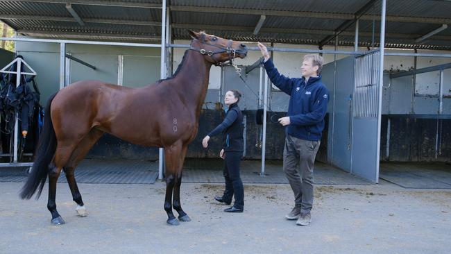 Trainer Bjorn Baker with Stefi Magnetica at his stables. Picture: Machine Studio