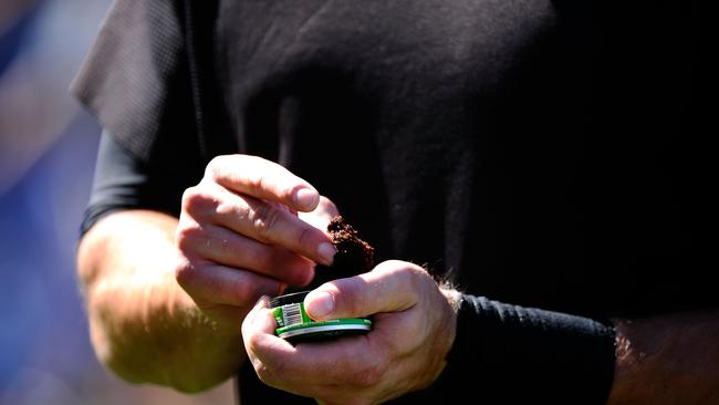 A player uses smokeless tobacco during warm ups.
