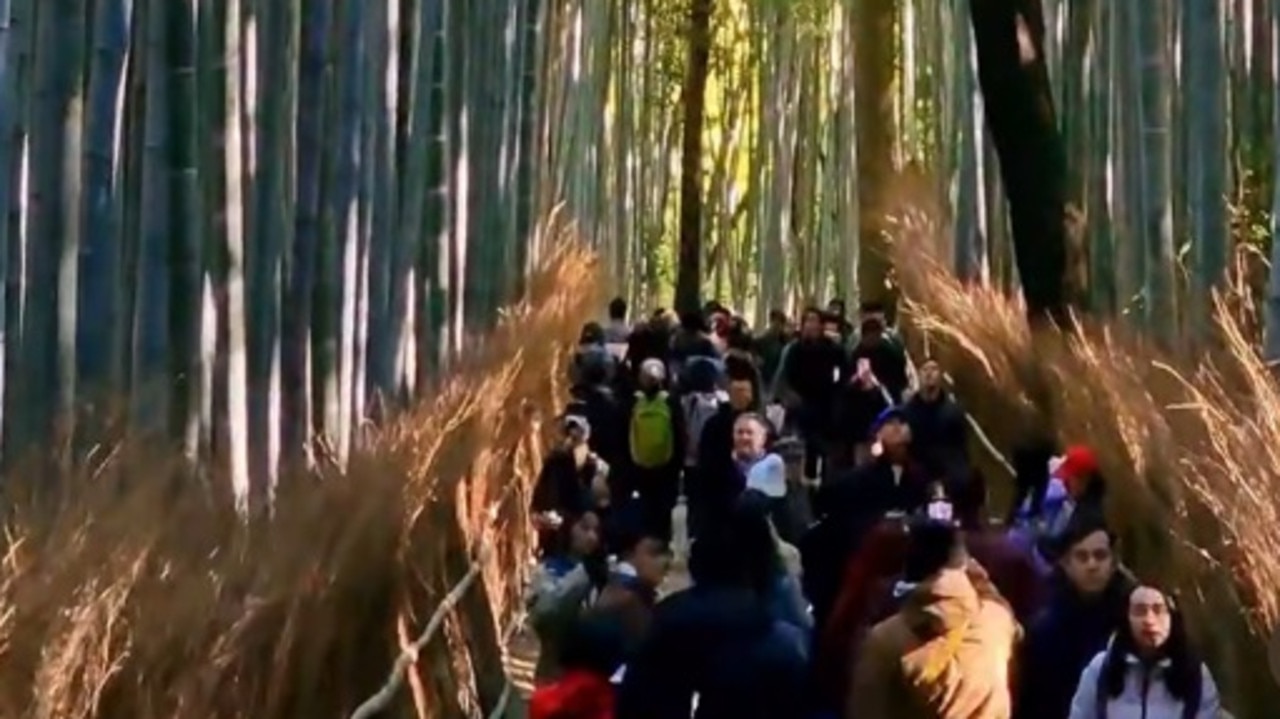 The crowds at the 'peaceful' Bamboo forest of Arashiyama. Picture: Instagram