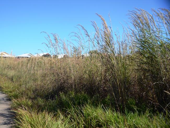 WHAT: Massively ugly overgrown block of land on the corner of Scott Ct and Bauldry Ave. The 4m-tall grass probably houses rats, mice, snakes and other vermin. WHO’S RESPONSIBLE: Palmerston council director of Technical Services, Mark SpanglerCONTACT: 8935 9951