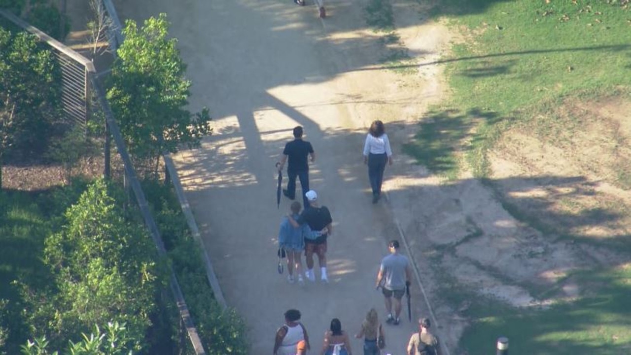 Taylor Swift and Travis Kelce were seen on a private visit to Sydney Zoo on Thursday afternoon. Credit: Nine News