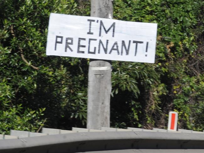 Another sign on the Bilgola Bends. Picture: Martin Lange