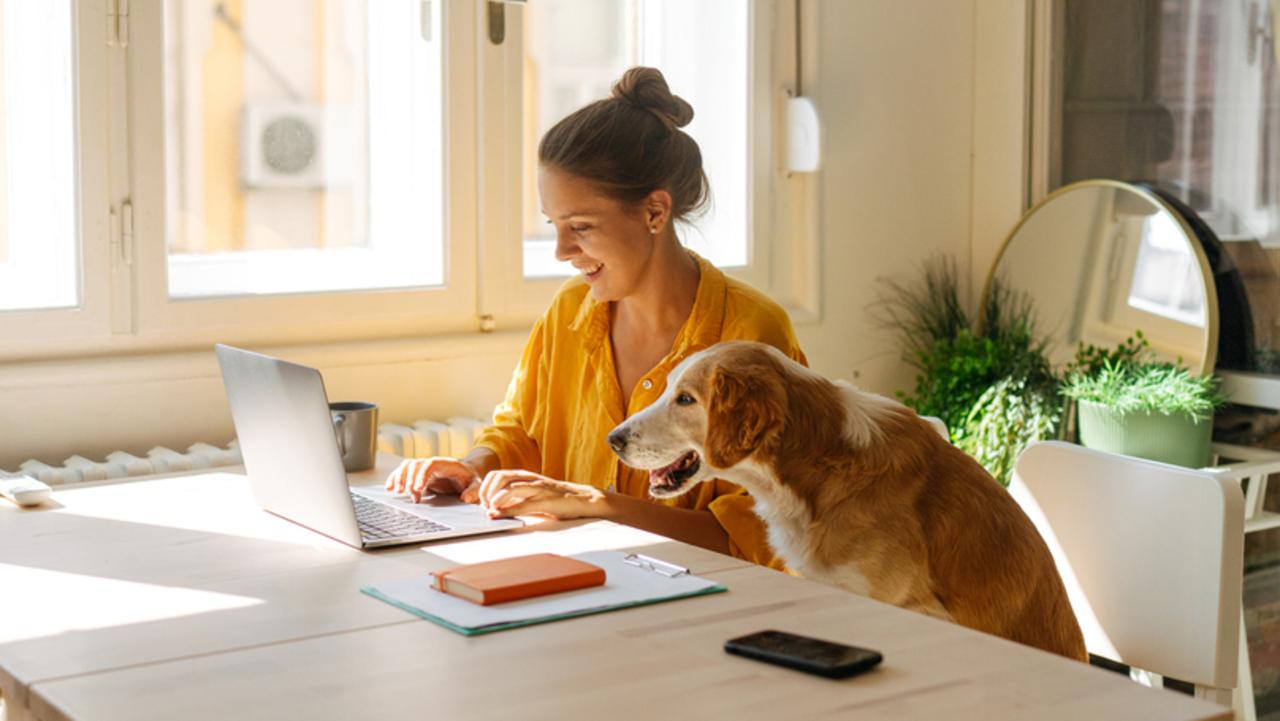 The company found that their employees were more productive when working from home. Picture: iStock