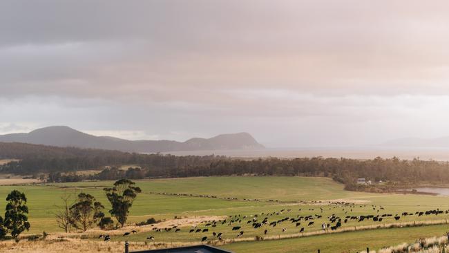 The view from Van Bone restaurant at Bream Creek. Picture: Adam Gibson