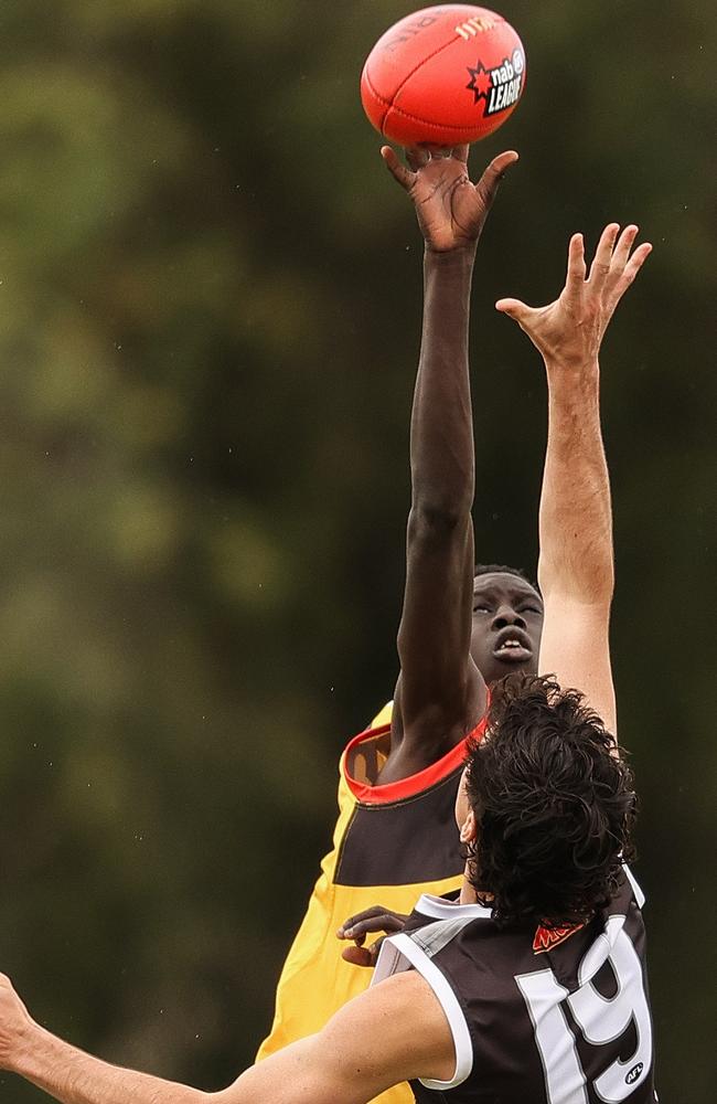 Mac Andrew springs for a tap. Pic: AFL Photos