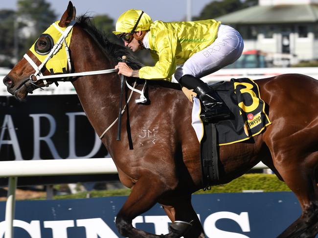 Vaucluse Bay and Corey Brown combine to salute at Rosehill on July 29. Picture: AAP