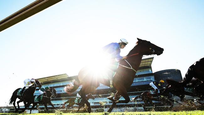 Racing is the one sport so far continuing to take place during the coronavirus crisis.