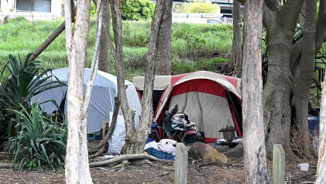 Tent city at Gayundah Coastal Arboretum in Woody Point. Picture, John Gass