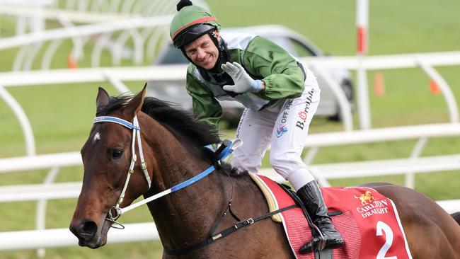 Incentivise pulled up with swelling in the left foreleg after the Melbourne Cup. Picture: Getty Images