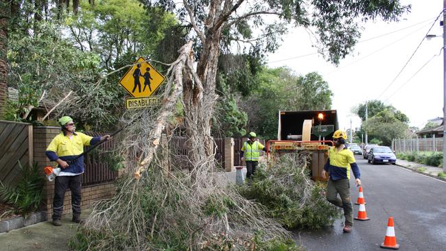 Banyule Council arborists clean storm damage in Ford St, Ivanhoe.