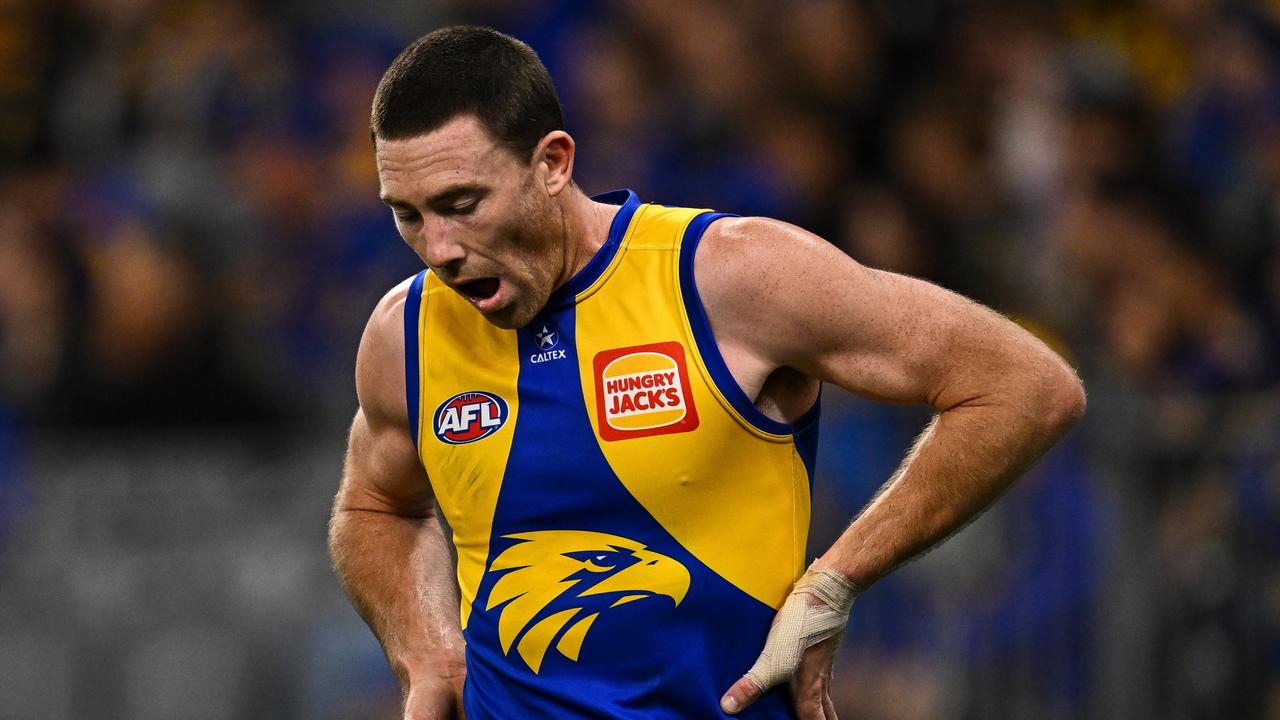 Star Eagle’s future in concussion panel’s hands