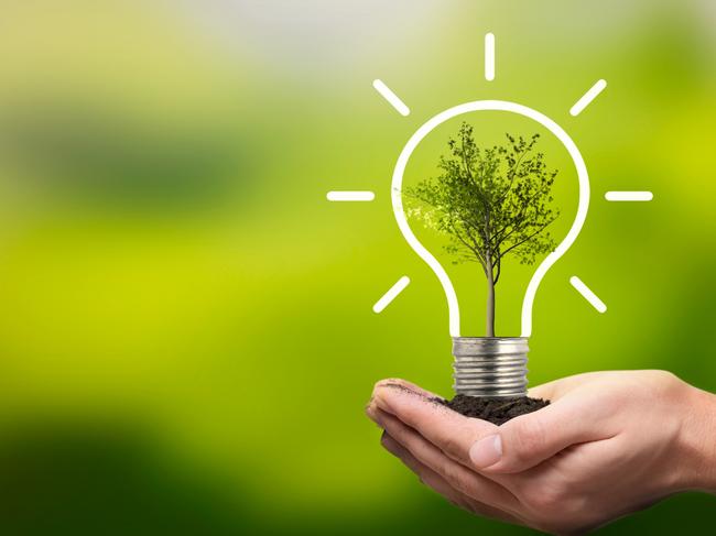 At Home 2023: March 25 issue, NEWS page, greenhouse guide. Picture: iStockLight bulb with growing tree. Ecological friendly and sustainable environment