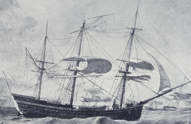 Mary Wade was brought to Australia aboard Lady Juliana as part of the Second Fleet.