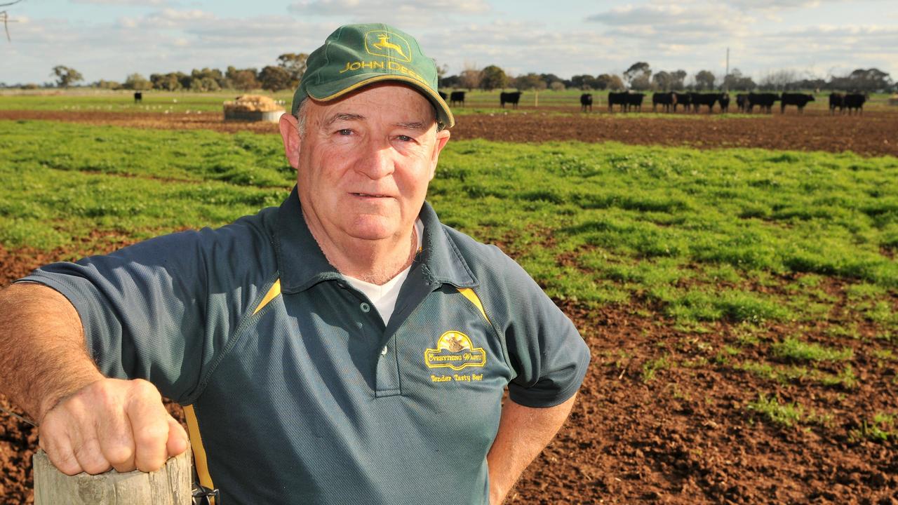 Serve it up: Steve Grove runs the Everything Wagyu brand from his farm at Cohuna in northern Victoria, producing Wagyu for high-end restaurants and cafes. Picture: James Wagstaff