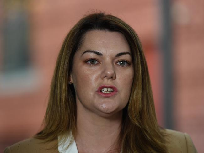 SENATE. ELCTION. The Greens Sarah Hanson-Young happy for another term. Picture: Tricia Watkinson