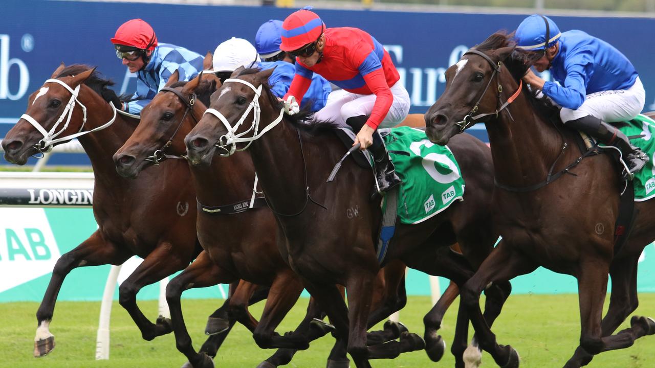 Verry Elleegant winning the Chipping Norton Stakes. Photo: Grant Guy