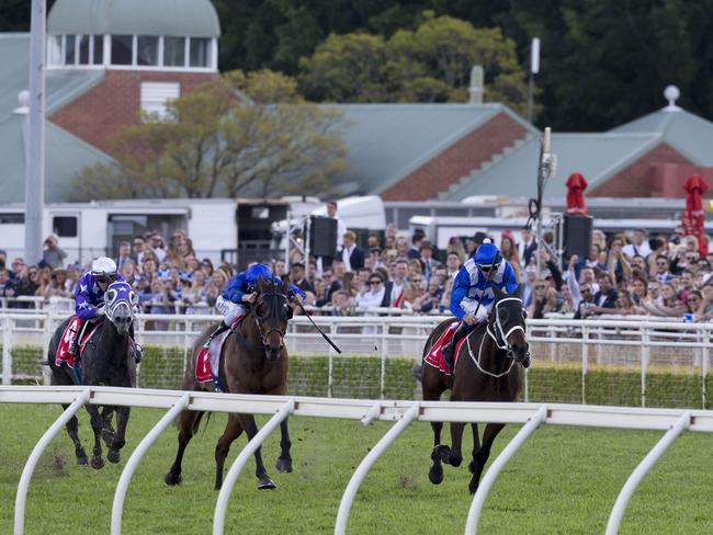 They came and she delivered: Winx on her way to another memorable win. Picture: AAP