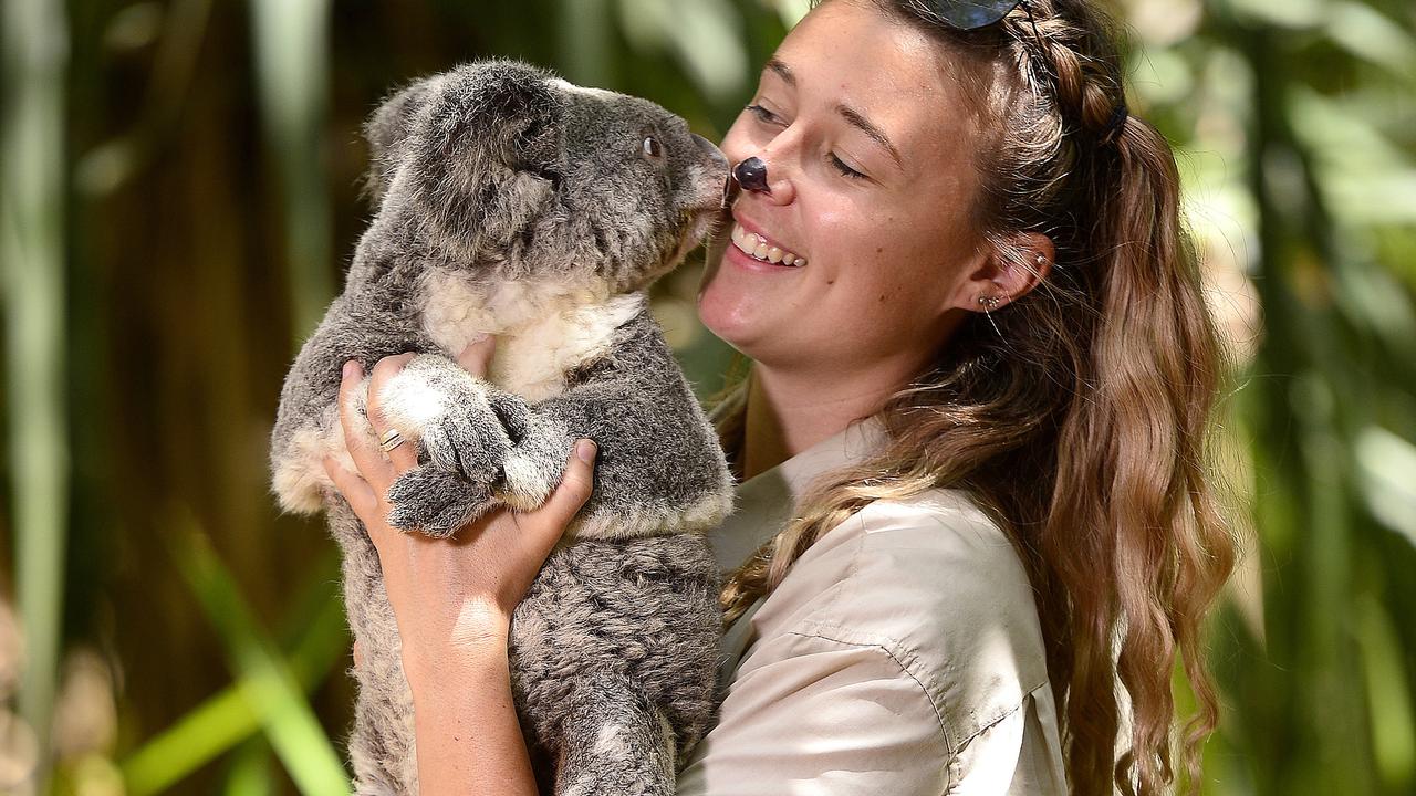 Coronavirus Townsville: Zoos and aquariums benefit from Federal ...