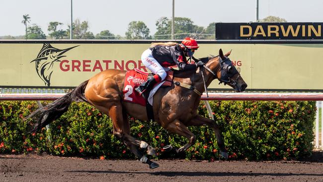 Noir De Rue will carry 59kg if it competes in the Darwin Cup. Picture: Caroline Camilleri