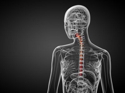 Barrett’s oesophagus is caused by prolonged exposure to stomach acid and can develop into oesophageal cancer. Picture: Supplied