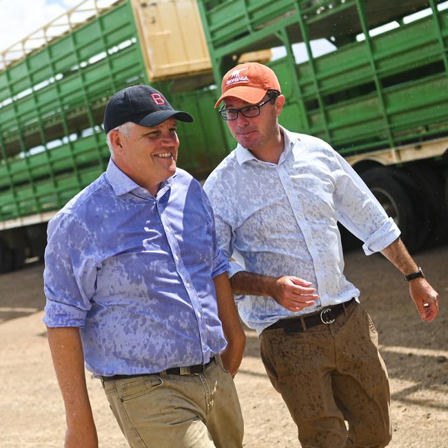 Nationals leader, David Littleproud MP alongside former Prime Minister Scott Morrison at a saleyard in Winton, Queensland last year. Picture: Lukas Coch (AAP)