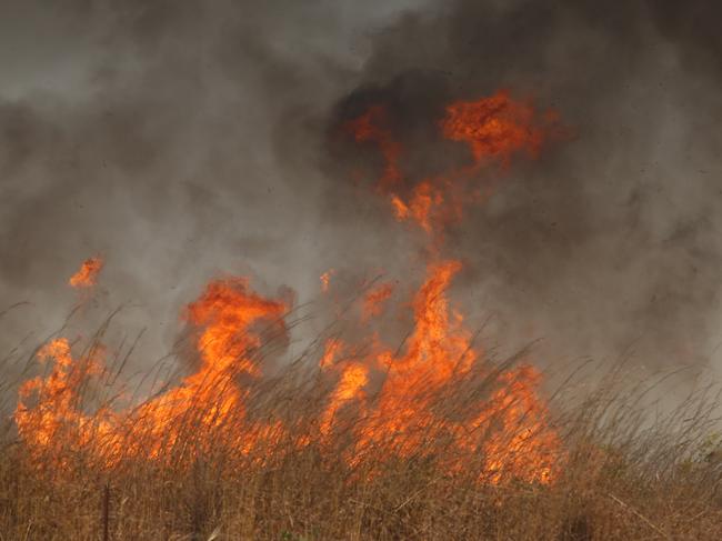 Gamba Grass burns as Dangerous fire conditions continue as a fire rolls through the Litchfield/Batchelor AreaPicture GLENN CAMPBELL