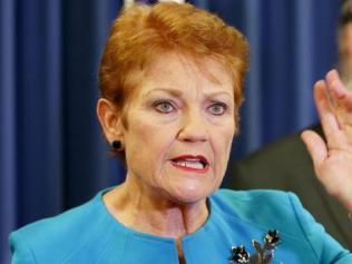 ‘Kicked in the guts’: Hanson lashes out at PM