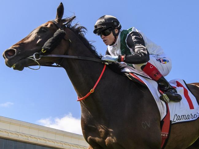 MELBOURNE, AUSTRALIA - FEBRUARY 24: Craig Williams riding Mr Brightside winning Race 7, the Lamaro's Hotel Futurity Stakes, during Melbourne Racing at Caulfield Racecourse on February 24, 2024 in Melbourne, Australia. (Photo by Vince Caligiuri/Getty Images)