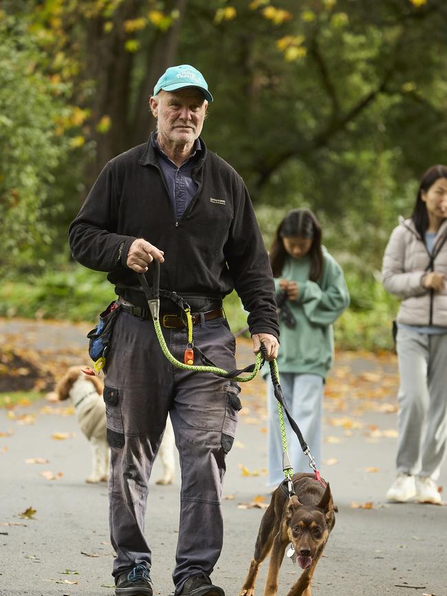 Million Paws Walk in the Adelaide Botanic Gardens, Sunday, May 28, 2023. Picture: Matt Loxton
