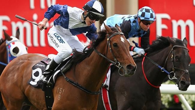 Xavi finishes second to Post D'France at Flemington last start. Picture: Getty Images