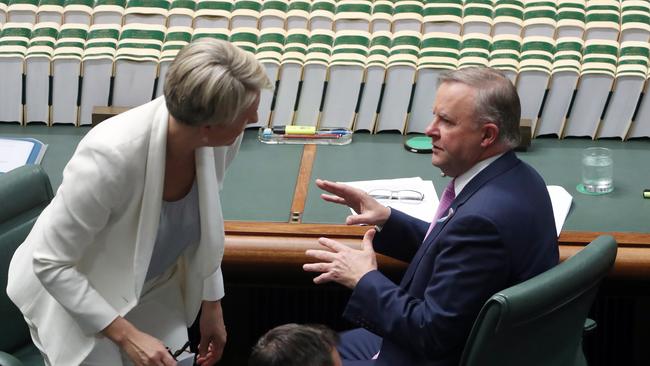 Albanese used Thursday’s reshuffle to strip responsibilities from Plibersek Picture Gary Ramage