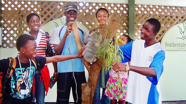 Seven young people from African backgrounds got up close and personal with a koala on January 25, 2005.