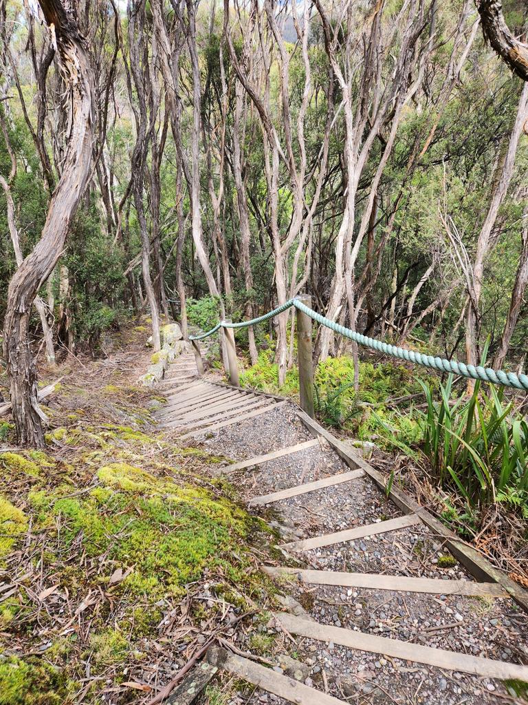 Leven Canyon. Picture: Vanessa Calvert Your Focus on Tasmania ***ONE TIME USE ONLY***