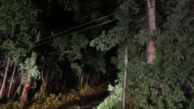 Storms brought down powerlines at Spring Grove.