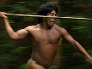 ONE TIME WEB USE ONLY - FEE APPLIES - SPECTACULAR images offering insight into the lives of the Huaorani people in the Ecuadorian Amazon have been revealed showing how they use traditional methods to hunt monkeys for food. The collection of pictures show people with dead monkeys hanging around their necks and another person in the trees in action trying to catch their next meal with a blow gun. Other shots show a man creating an ornate headpiece and woman knitting a hat. Other shots offer further insight into what the people eat with bare toucans, the bird made famous through advertising the Irish stout Guinness, hanging from their necks and a peccary pig roasting on an open flame. The stunning pictures were taken by conservation photographer, Pete Oxford (58) from Torquay, Devon in the Ecuadorian Amazon. To take his shots, Pete used a Nikon camera. Pete Oxford / mediadrumworld.com