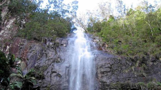 Protestors Falls at Terania Creek. Picture: Contributed Peter Greenwell