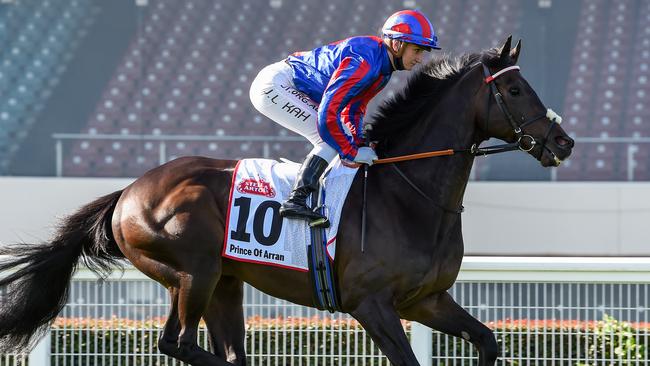 Prince Of Arran is Brad Waters’ Cup pick. Picture: Brett Holburt/Racing Photos via Getty.