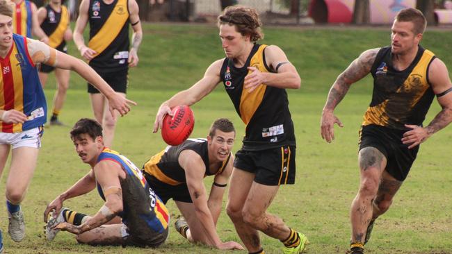 Broadview skipper Jay O'Leary was important during the Tigers' big win over division two rival Old Ignatians on Saturday. Picture: Matt Oborn