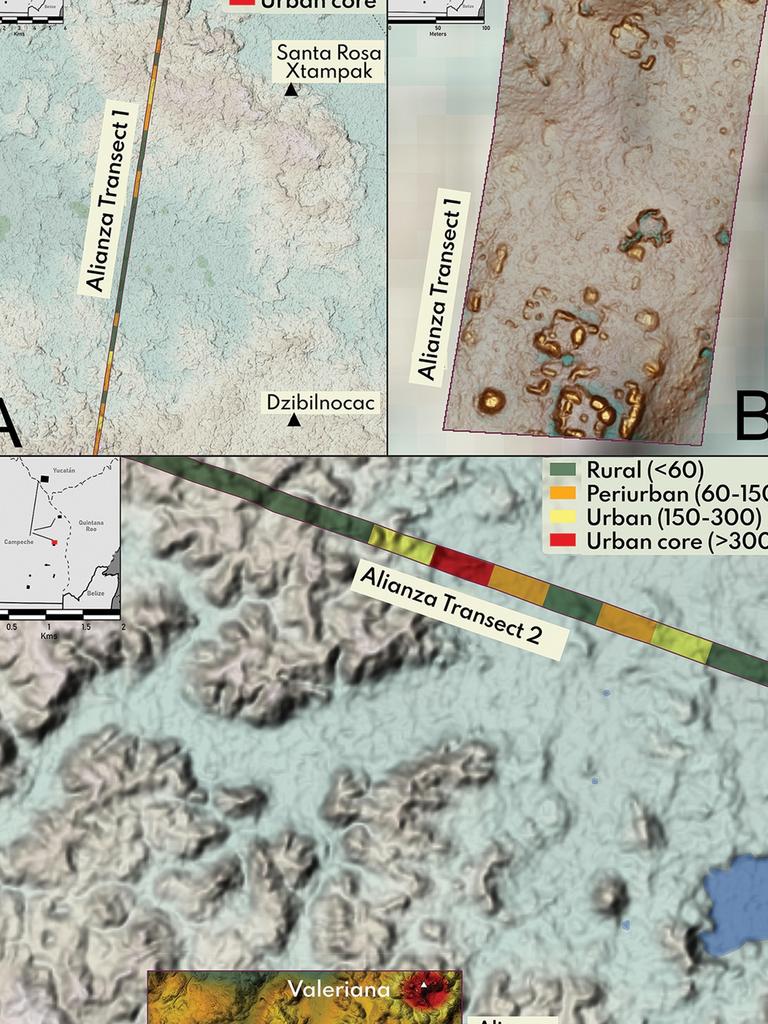 Close-ups of transects at the site. Picture: Luke Auld-Thomas/Antiquity