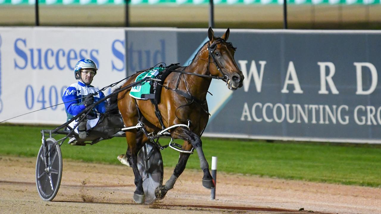 Expensive Ego will be racing for Inter Dominion redemption on Saturday night. Picture: Club Menangle.