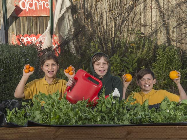 West Footscray Primary School students in their Stephanie Alexander Kitchen Garden. Picture: Rob Leeson.