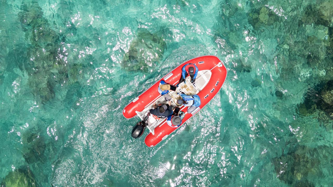 Marine biologists have been closely monitoring coral colonies at Agincourt Reef in efforts to protect and restore marine life in the Great Barrier Reef. Photo: Supplied.