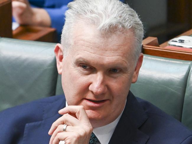 CANBERRA, Australia - NewsWire Photos - October 8, 2024: Minister for Home Affairs and Minister for the Arts, Tony Burke during Question Time at Parliament House in Canberra. Picture: NewsWire / Martin Ollman