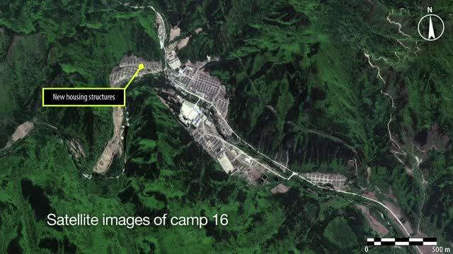 Inside North Korea's prison camps