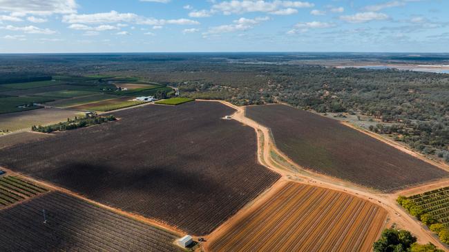 Duxton Vineyards are selling the Hollands Lake Road and Gol Gol vineyards, located at Coomealla and Gol Gol.