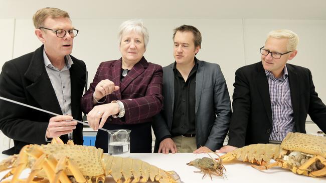 From left, Associate Professor Greg Smith, Deputy Vice-Chancellor for Research Professor Brigid Heyward, PFG Group chief executive Michael Sylvestor and Technology Transfer director Darren Cundy.. Pictures: RICHARD JUPE