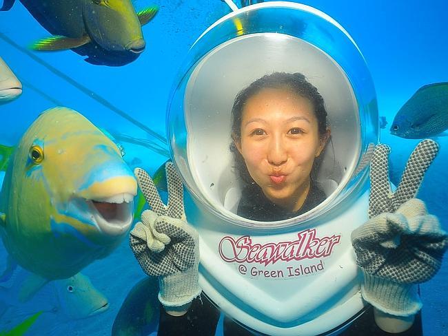  An attention-seeking parrot fish is creating a name for himself around the world, photobombing tourists in their happy snaps off Green Island in the Great Barrier Reef. Picture: Supplied