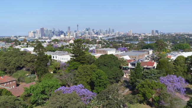 The purple haze of Sydney’s jacaranda trees from the sky. Picture: Joshua Hulm
